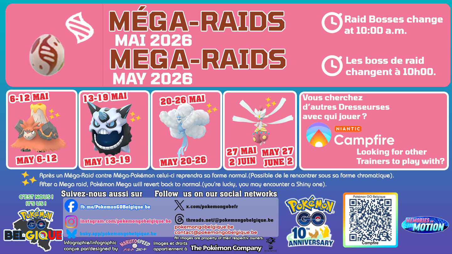 Mega-Raids